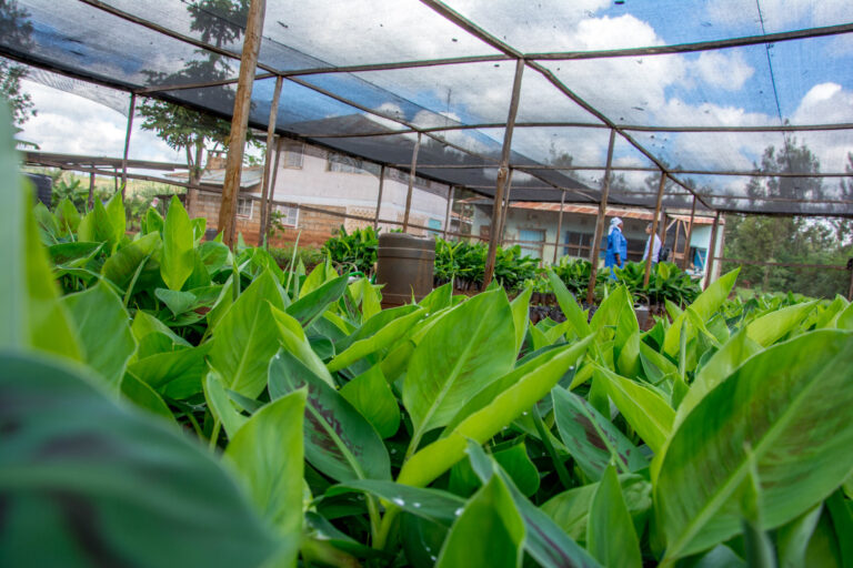 This is our time to get food systems right