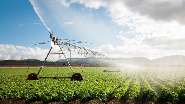AGRF stakeholders calls for strong leadership as Africa defines its vision for the future of food systems in the upcoming AGRF 2021 Summit in September