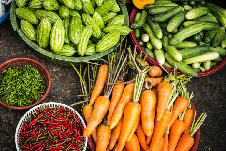 Agriculture stakeholders plan sustainable and resilient food systems for Africa