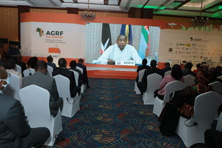 Presidents Engage in Discussions on Africa’s Food System Transformation