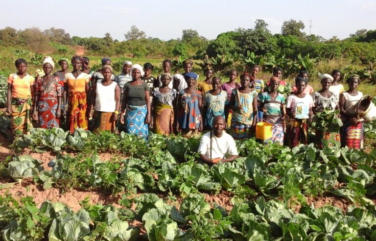 Regeneration and reward: empowering and incentivising farmers for climate-positive agriculture