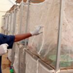The Kenyan goose that lay golden egg for Rwandese poultry keeper