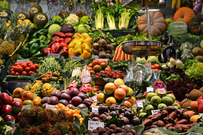 The power in your plate – Transforming Africa’s food systems through better nutritional choices