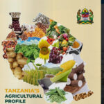 Africa Food Systems Forum 2023: Dar es Salaam Gathers 4000+ Delegates to Address Africa’s Food Systems Transformation Goals.