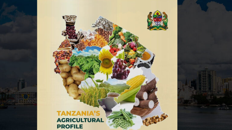Africa Food Systems Forum 2023: Dar es Salaam Gathers 4000+ Delegates to Address Africa’s Food Systems Transformation Goals.