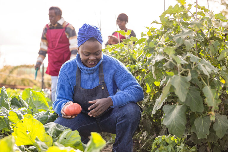 Private sector engagement key in Africa’s food system transformation