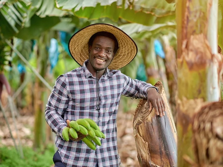 Africa’s food future depends on how we engage with the youth today