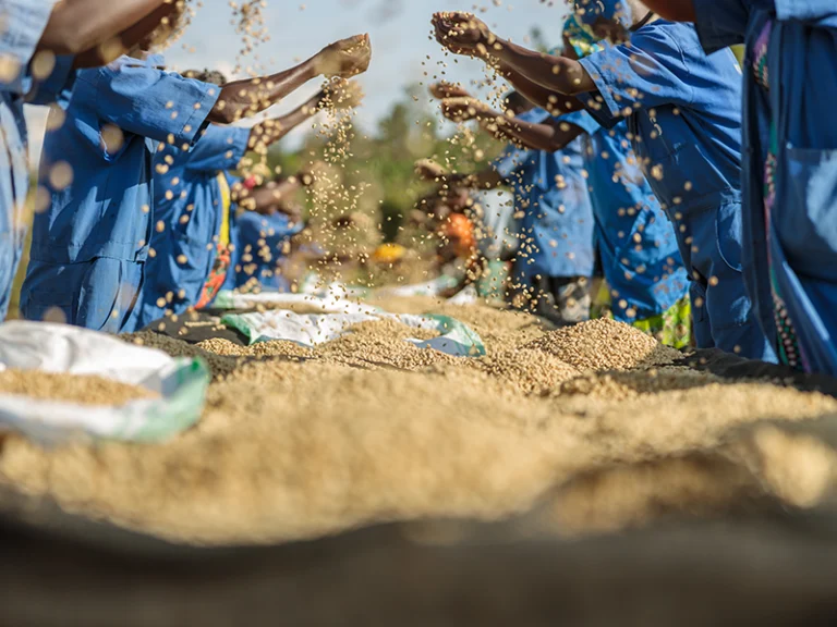 Rethinking and Regenerating Our Food Systems