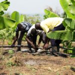 Water, Energy, and Food: The Triple Solution to Africa’s Food Security Crisis