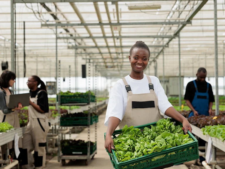 Comment la Nouvelle Génération de Femmes Réinvente l’Agriculture au Sénégal