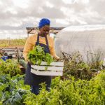 From Promise to Scale: Building Climate Resilience in African Agriculture