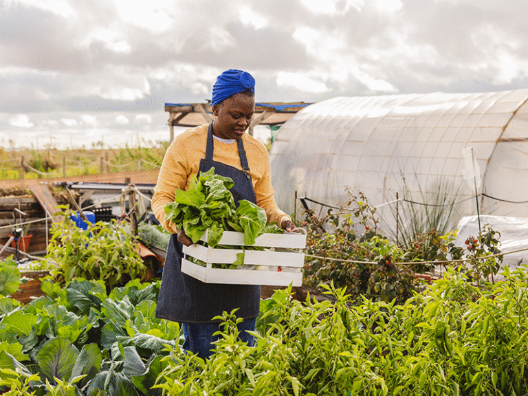 From Promise to Scale: Building Climate Resilience in African Agriculture