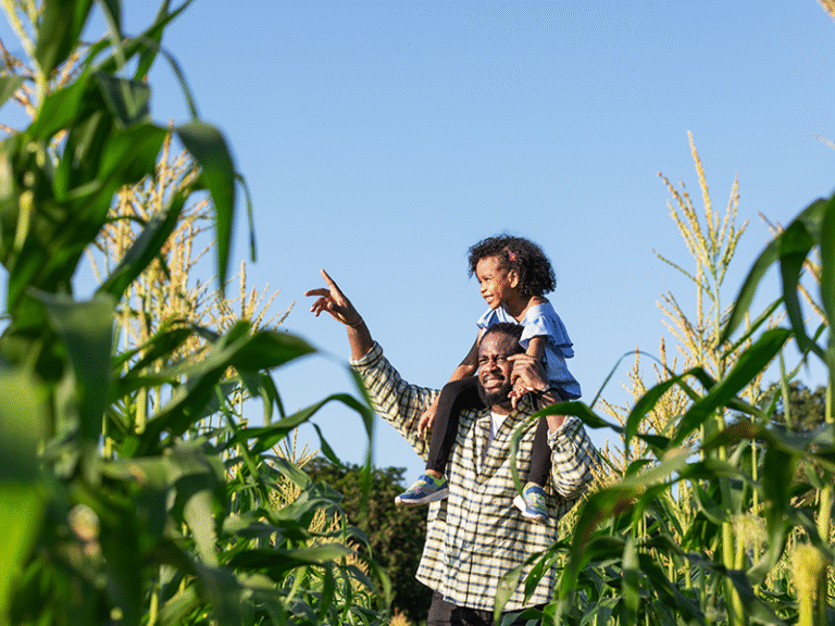 The Next Season of Innovation Is Taking Root in African Agriculture