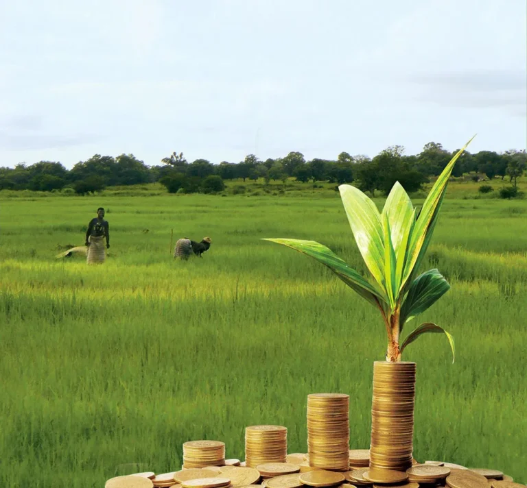 Climate Finance Should Finance Productivity, Not Projects