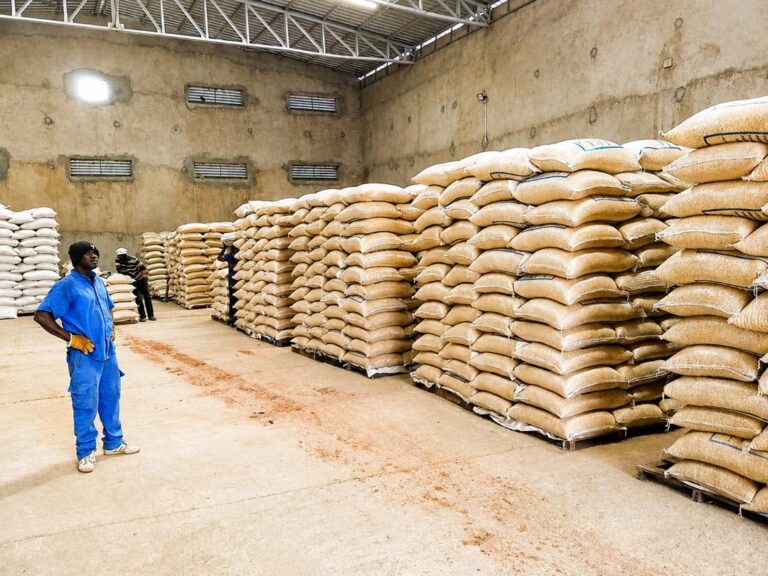 Seed answers back: what West Africa is bringing to Kigali