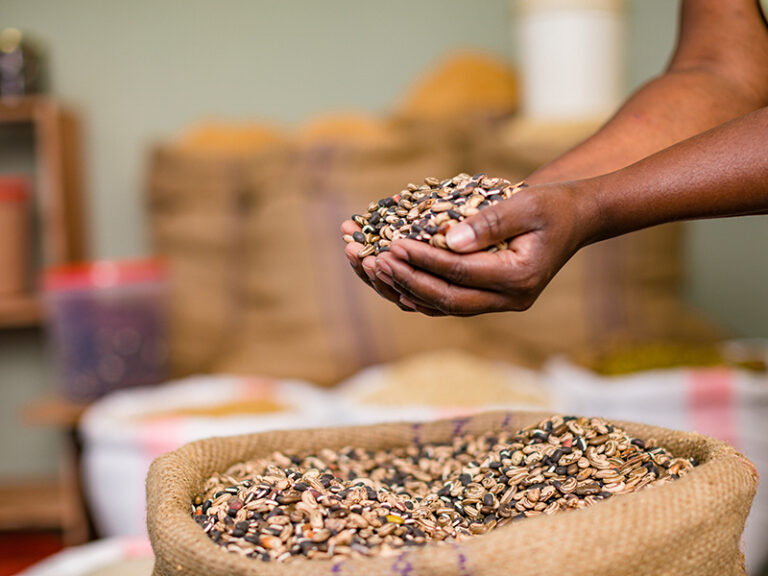 Seed is part of the continental conversation: from West African fields to Kigali
