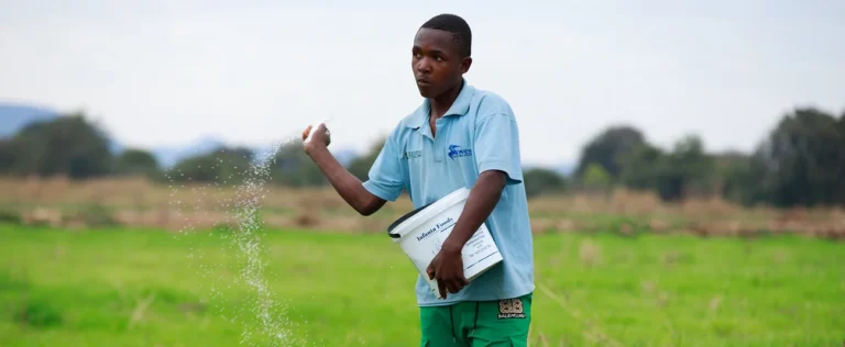 Zimbabwe Emergency Food Production Project Delivers Transformative Results, Boosts Climate-Smart Agriculture and Record Wheat Harvest