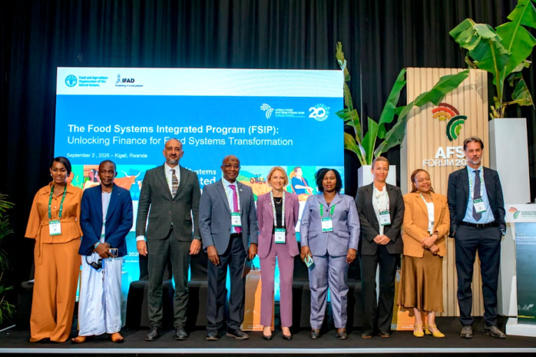 From Dialogue to Delivery: How the FSIP Is Unlocking Finance for Food Systems Transformation in Africa